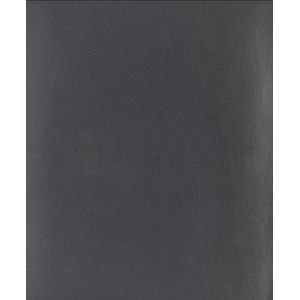 LIJA DE AGUA PARA METAL FANDELI No.220