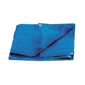 LONA PLASTICA BEST VALUE 10'X12'