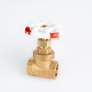 LLAVE COMPUERTA 3/4" LIVIANA