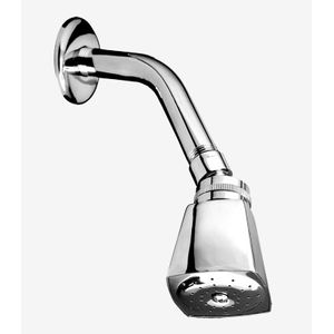 CABEZA DUCHA C/BRAZO Y CHAPETA CROMADA CUBO 44160