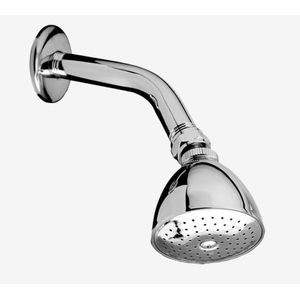 CABEZA DUCHA C/BRAZO Y CHAPETA CROMADA REDONDA 44170
